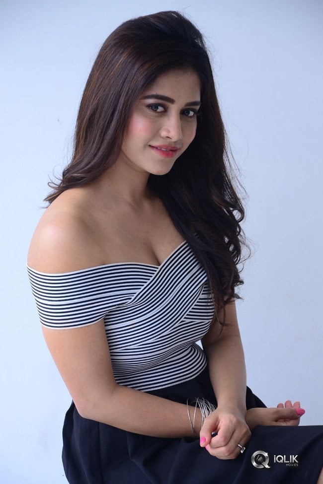 Nabha-Natesh-New-Photos